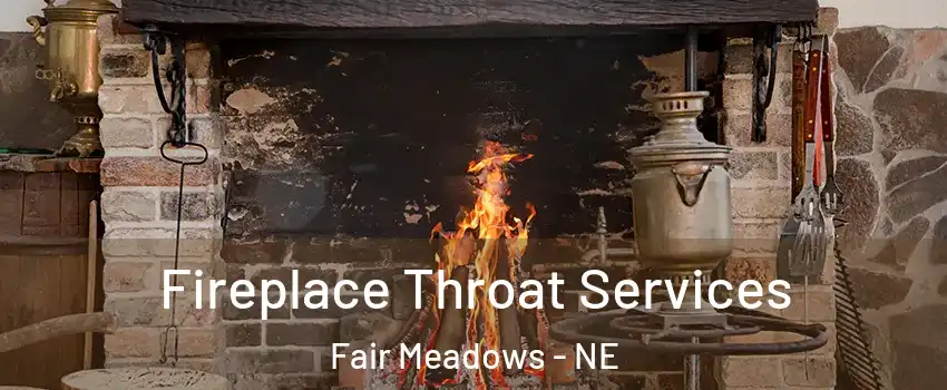 Fireplace Throat Services Fair Meadows - NE