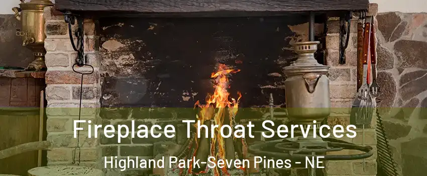 Fireplace Throat Services Highland Park-Seven Pines - NE