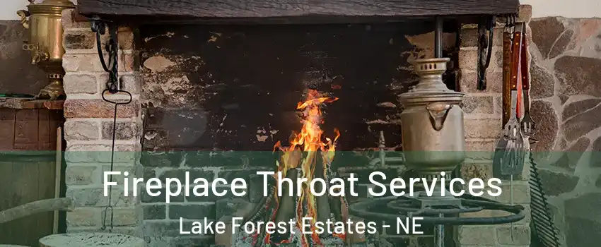 Fireplace Throat Services Lake Forest Estates - NE