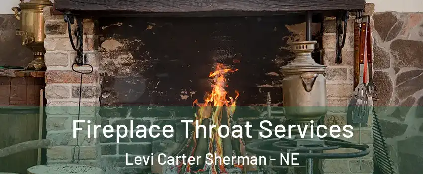 Fireplace Throat Services Levi Carter Sherman - NE