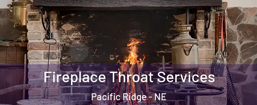 Fireplace Throat Services Pacific Ridge - NE