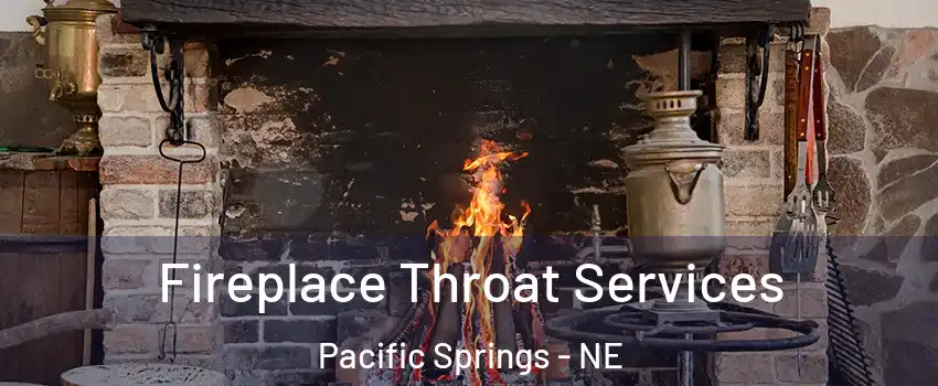 Fireplace Throat Services Pacific Springs - NE