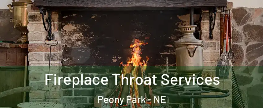 Fireplace Throat Services Peony Park - NE