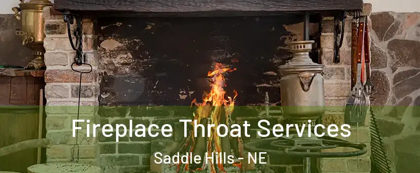 Fireplace Throat Services Saddle Hills - NE