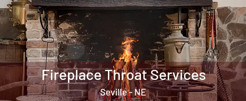 Fireplace Throat Services Seville - NE