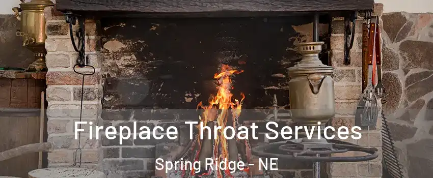 Fireplace Throat Services Spring Ridge - NE