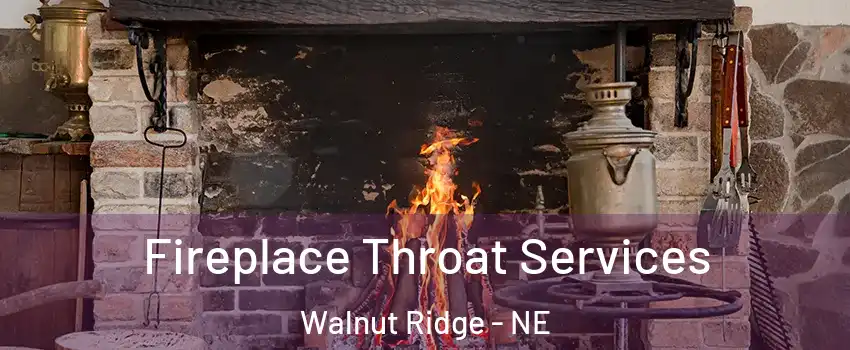 Fireplace Throat Services Walnut Ridge - NE