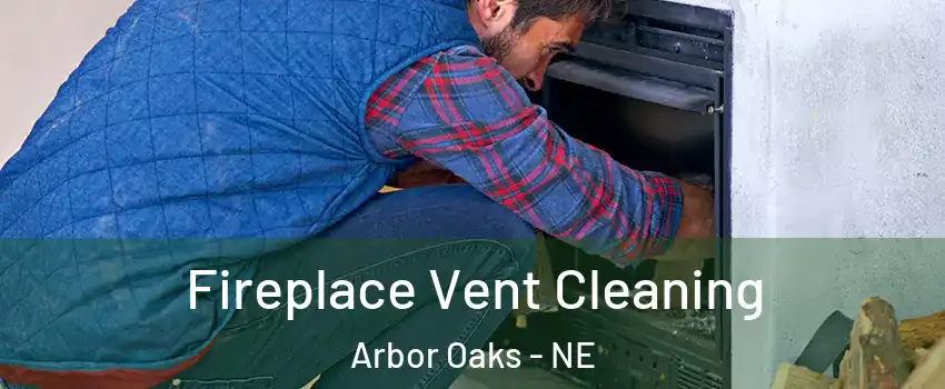 Fireplace Vent Cleaning Arbor Oaks - NE