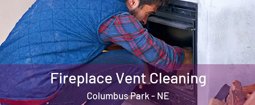 Fireplace Vent Cleaning Columbus Park - NE
