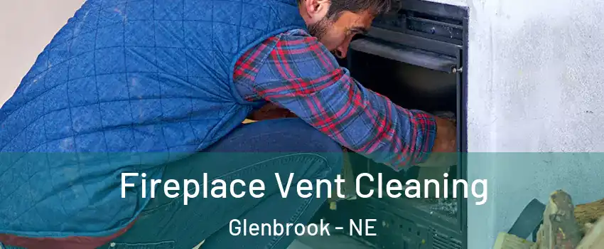 Fireplace Vent Cleaning Glenbrook - NE