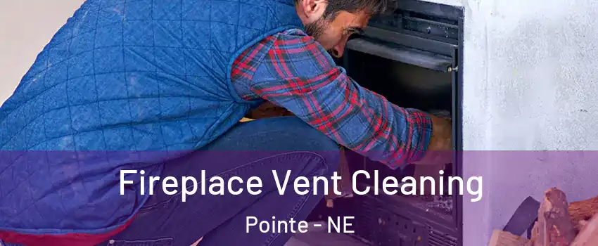 Fireplace Vent Cleaning Pointe - NE
