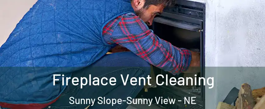 Fireplace Vent Cleaning Sunny Slope-Sunny View - NE