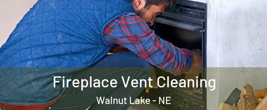 Fireplace Vent Cleaning Walnut Lake - NE