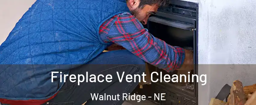 Fireplace Vent Cleaning Walnut Ridge - NE
