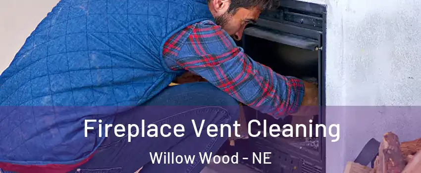 Fireplace Vent Cleaning Willow Wood - NE