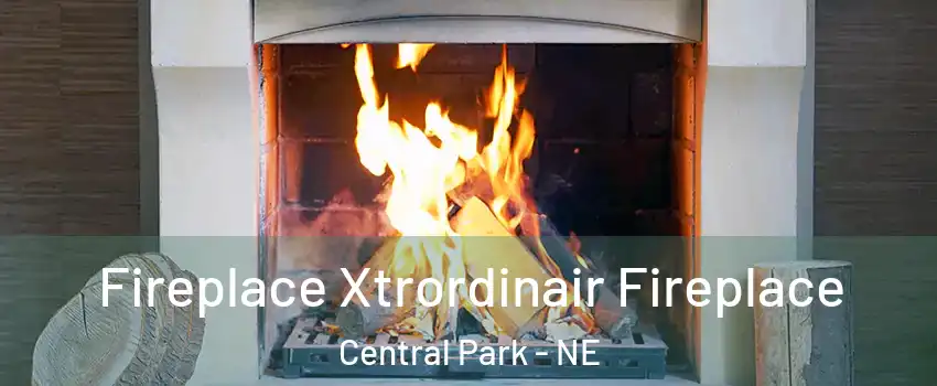 Fireplace Xtrordinair Fireplace Central Park - NE