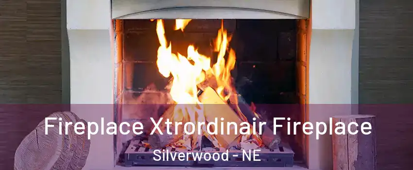 Fireplace Xtrordinair Fireplace Silverwood - NE