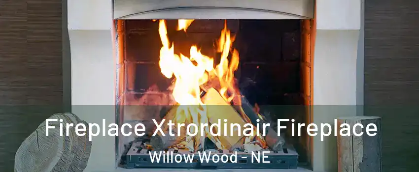 Fireplace Xtrordinair Fireplace Willow Wood - NE