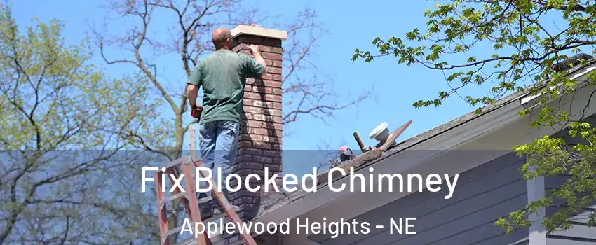 Fix Blocked Chimney Applewood Heights - NE