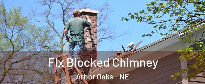 Fix Blocked Chimney Arbor Oaks - NE