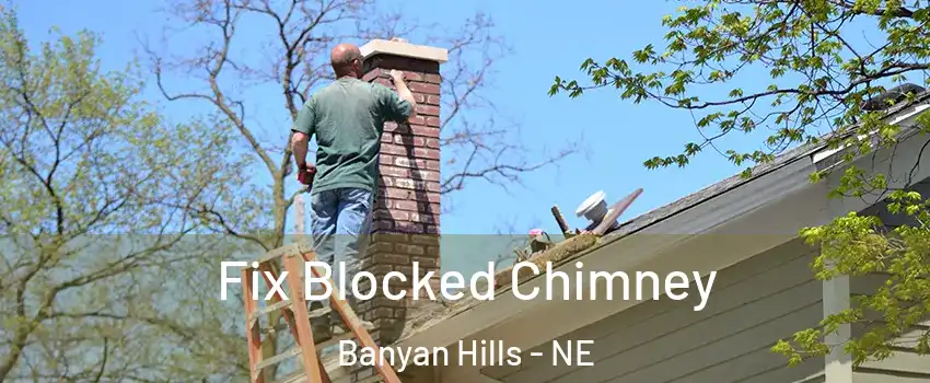 Fix Blocked Chimney Banyan Hills - NE