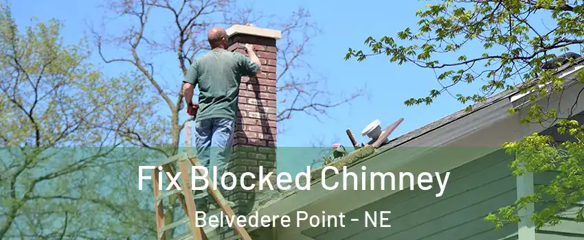 Fix Blocked Chimney Belvedere Point - NE