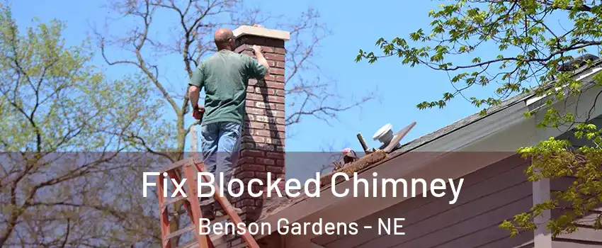 Fix Blocked Chimney Benson Gardens - NE