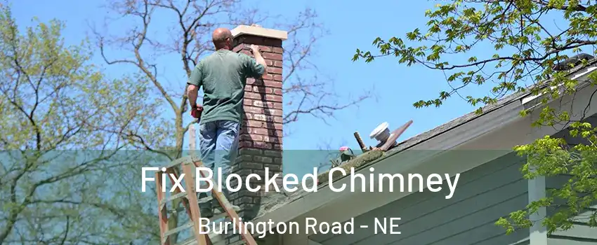 Fix Blocked Chimney Burlington Road - NE