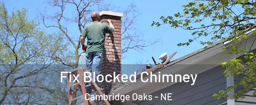 Fix Blocked Chimney Cambridge Oaks - NE