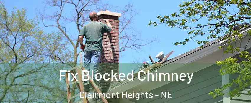 Fix Blocked Chimney Clairmont Heights - NE