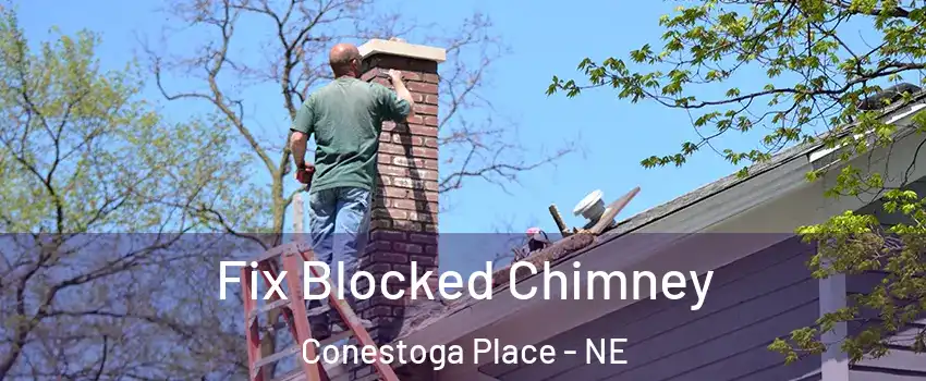 Fix Blocked Chimney Conestoga Place - NE