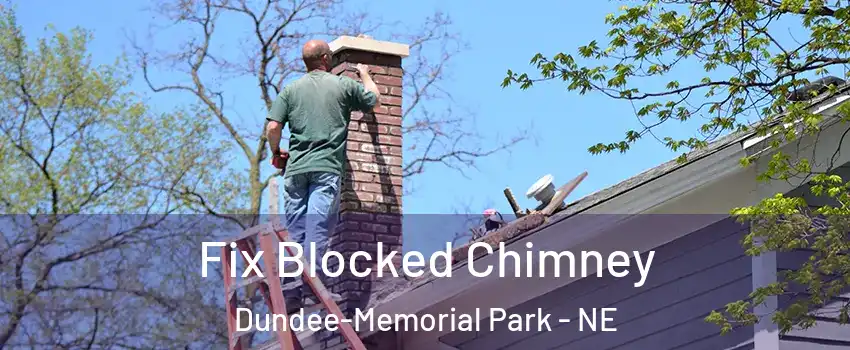 Fix Blocked Chimney Dundee-Memorial Park - NE
