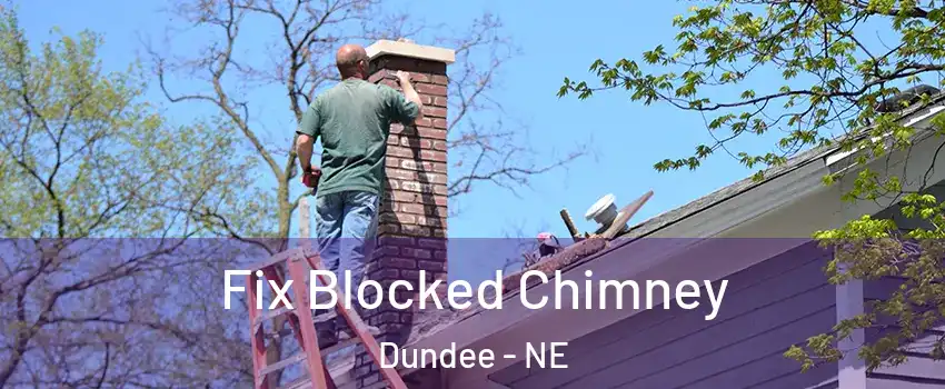 Fix Blocked Chimney Dundee - NE