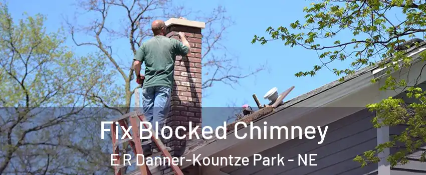Fix Blocked Chimney E R Danner-Kountze Park - NE