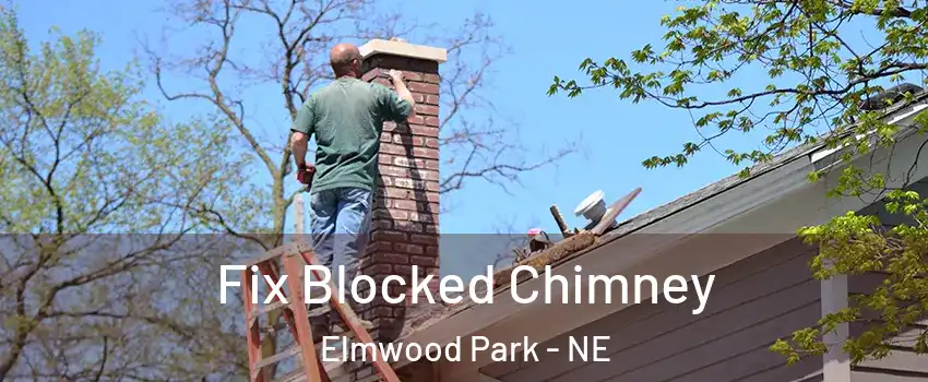 Fix Blocked Chimney Elmwood Park - NE