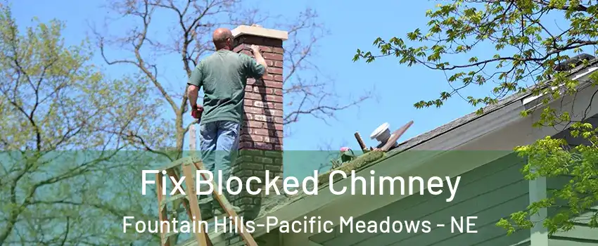 Fix Blocked Chimney Fountain Hills-Pacific Meadows - NE