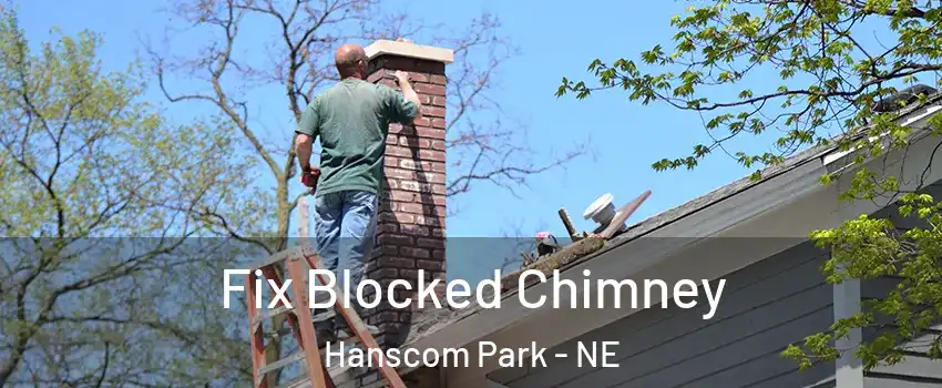 Fix Blocked Chimney Hanscom Park - NE
