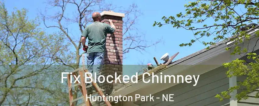 Fix Blocked Chimney Huntington Park - NE