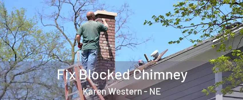 Fix Blocked Chimney Karen Western - NE