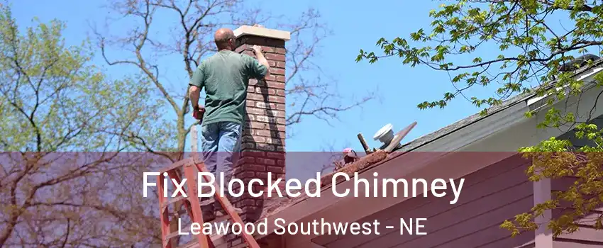 Fix Blocked Chimney Leawood Southwest - NE