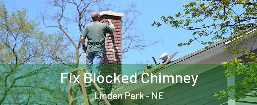 Fix Blocked Chimney Linden Park - NE