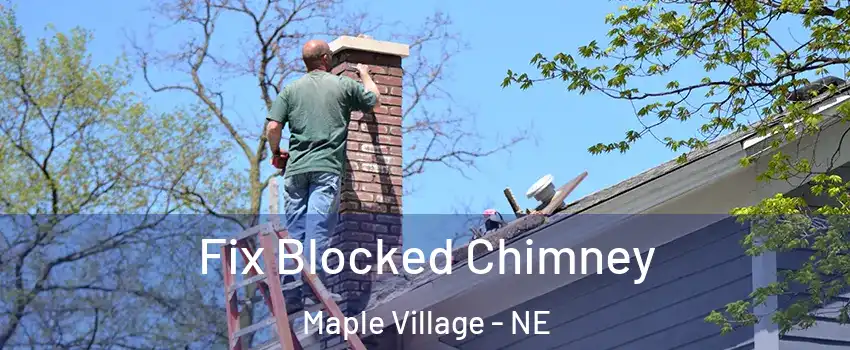 Fix Blocked Chimney Maple Village - NE