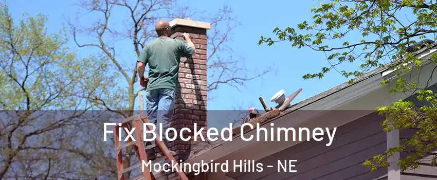 Fix Blocked Chimney Mockingbird Hills - NE