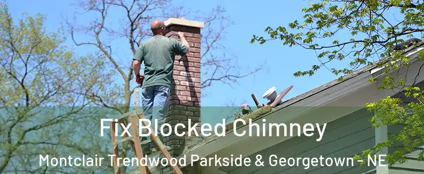Fix Blocked Chimney Montclair Trendwood Parkside & Georgetown - NE