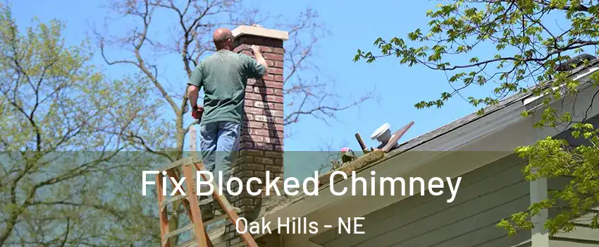 Fix Blocked Chimney Oak Hills - NE