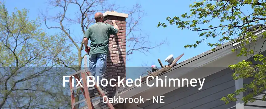 Fix Blocked Chimney Oakbrook - NE