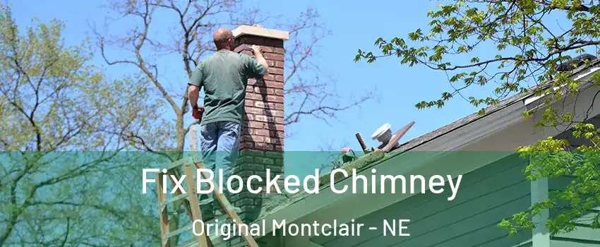 Fix Blocked Chimney Original Montclair - NE