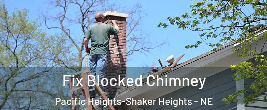 Fix Blocked Chimney Pacific Heights-Shaker Heights - NE