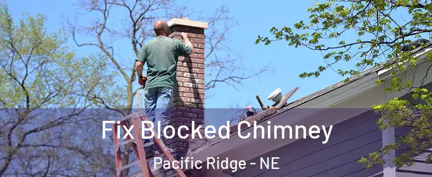 Fix Blocked Chimney Pacific Ridge - NE