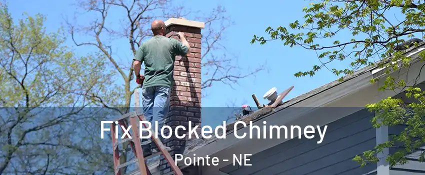 Fix Blocked Chimney Pointe - NE
